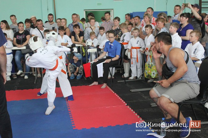 В Кинешме прошел открытый Чемпионат города по карате фото 24