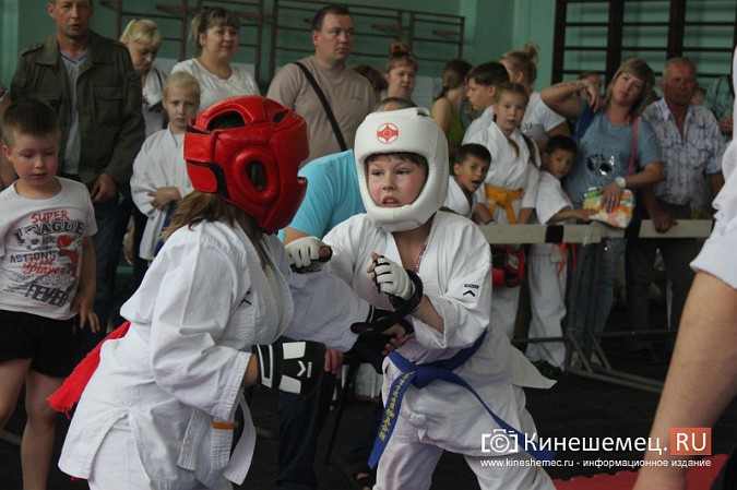 В Кинешме прошел открытый Чемпионат города по карате фото 33