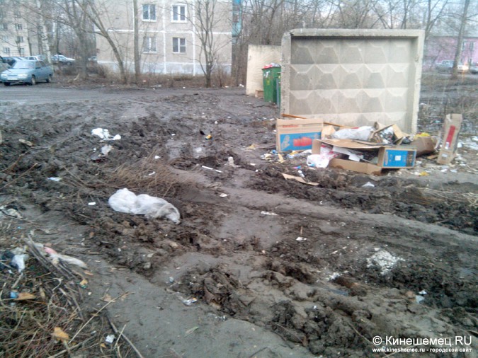 Жители Кинешмы вынуждены месить грязь на помойке фото 9