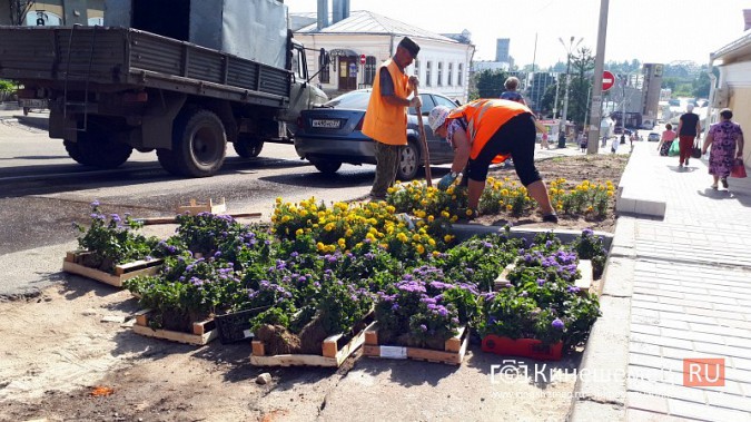 УГХ Кинешмы приступило к пересадке цветов из клумб в центральном парке фото 16