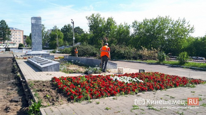 УГХ Кинешмы приступило к пересадке цветов из клумб в центральном парке фото 12