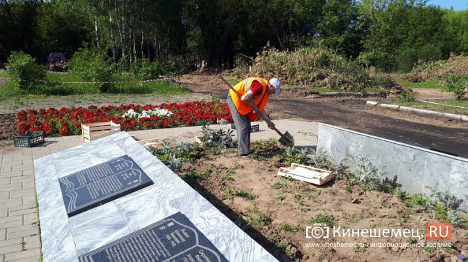 УГХ Кинешмы приступило к пересадке цветов из клумб в центральном парке фото 4