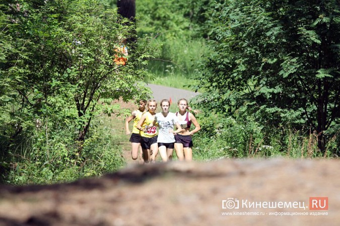 В Кинешемском бору состоялось открытое первенство по кроссовому бегу фото 40