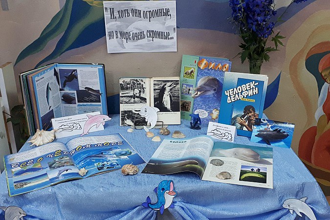 В Кинешемской библиотеке открылась книжная выставка про дельфинов фото 2