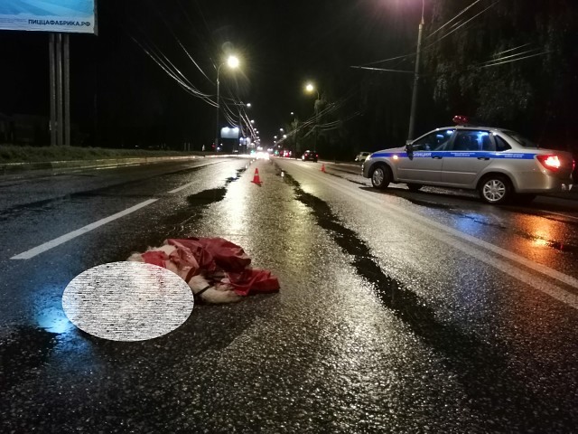 В Иванове под колесами «Ауди» погиб 27-летний мужчина с собакой фото 4