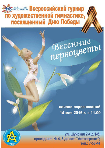 Всероссийский турнир по художественной гимнастике пройдёт в Кинешме фото 2