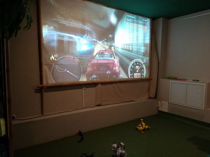 Впервые в Кинешме Робозоопарк фото 15