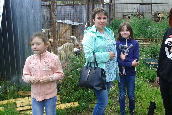Воспитанники кинешемского детского дома купили корм приюту для животных фото 3