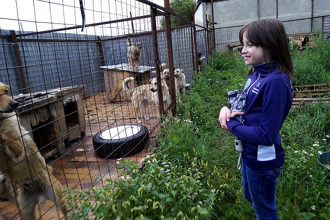Воспитанники кинешемского детского дома купили корм приюту для животных фото 2