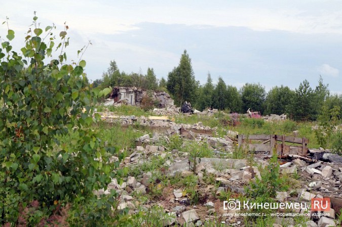 В Кинешме вновь сорвали сроки обустройства полигона бывшей химбригады под участки многодетным фото 4
