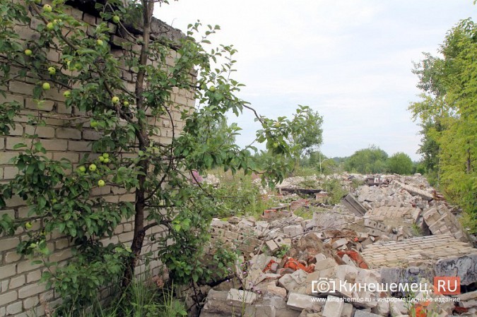 В Кинешме вновь сорвали сроки обустройства полигона бывшей химбригады под участки многодетным фото 22