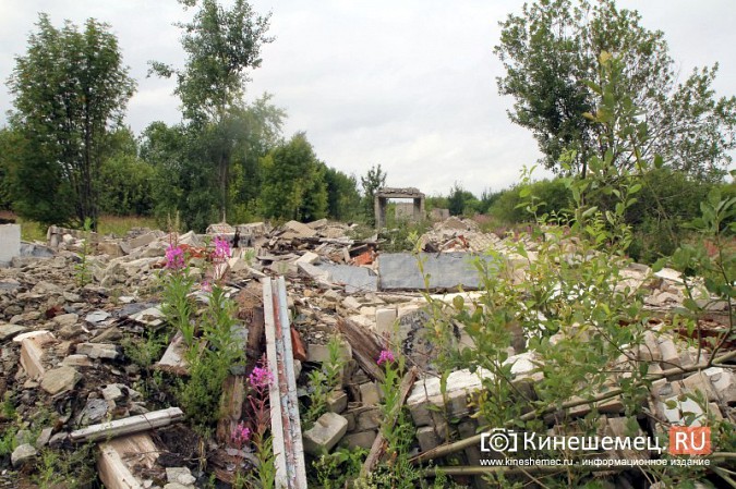 В Кинешме вновь сорвали сроки обустройства полигона бывшей химбригады под участки многодетным фото 14