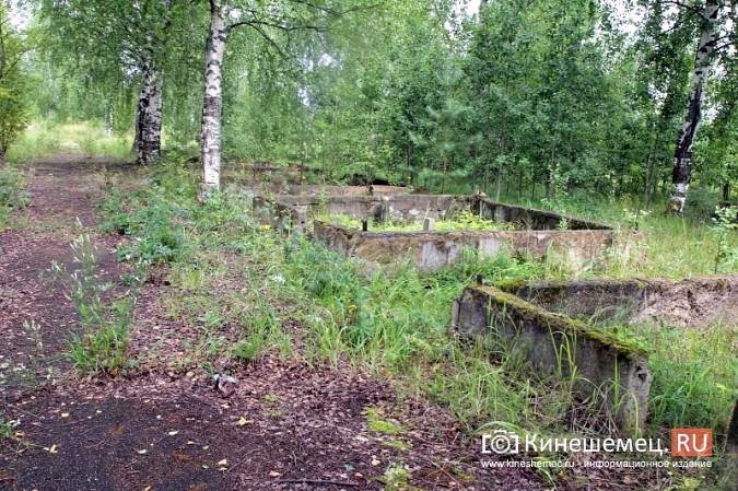 В Кинешме вновь сорвали сроки обустройства полигона бывшей химбригады под участки многодетным фото 13