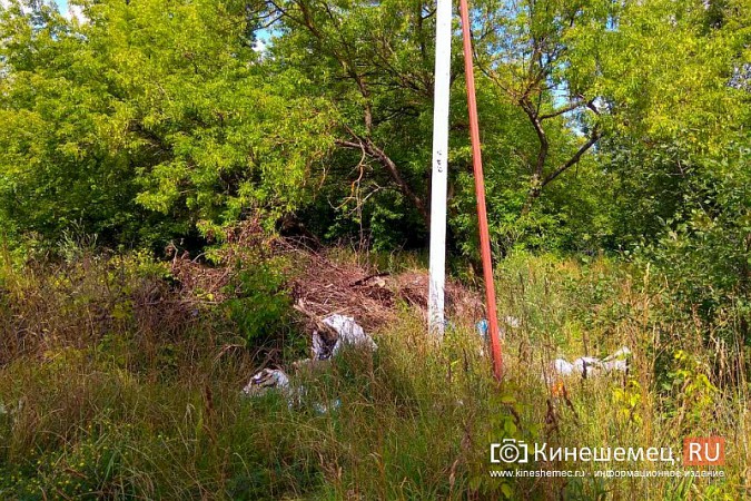 За городским архивом Кинешмы выросла стихийная свалка фото 5