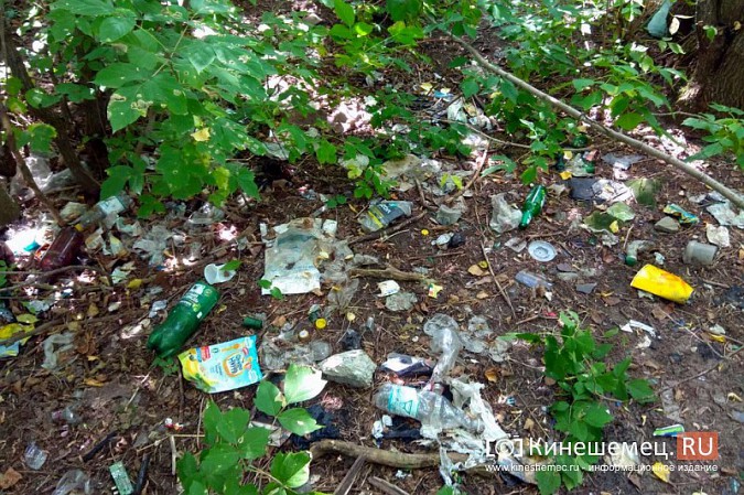 За городским архивом Кинешмы выросла стихийная свалка фото 2
