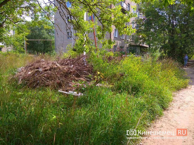 За городским архивом Кинешмы выросла стихийная свалка фото 7