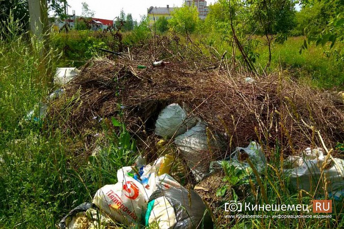За городским архивом Кинешмы выросла стихийная свалка фото 4