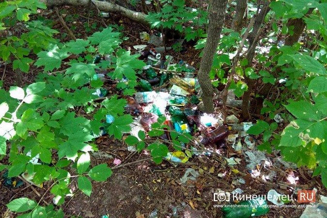 За городским архивом Кинешмы выросла стихийная свалка фото 6