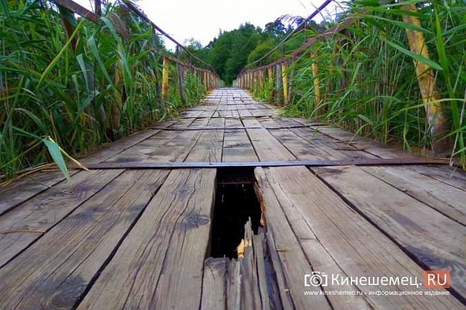 Чиновники не выполнили обещание отремонтировать мост в бору через Кинешемку фото 7