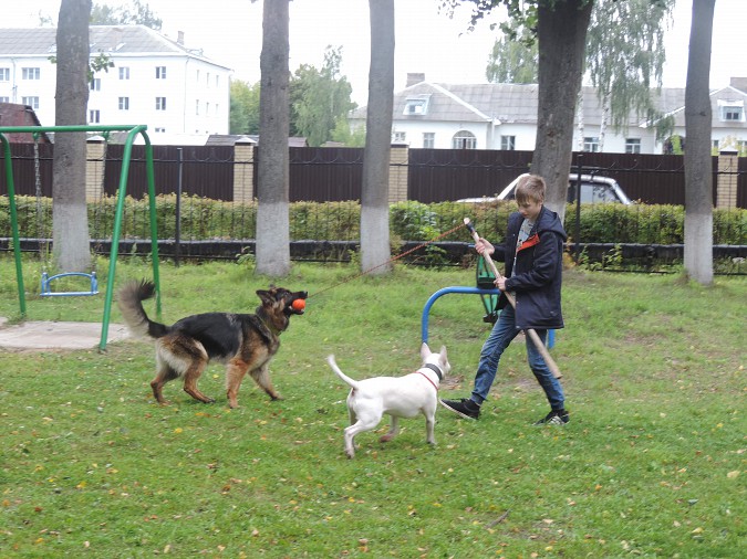 Воспитанники кинешемского детского дома поиграли со служебными собаками фото 2