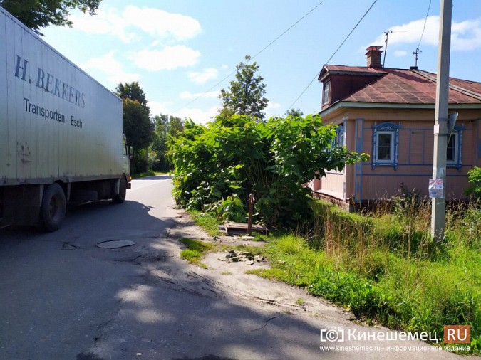 В Кинешме живая изгородь «захватила» автомобильную дорогу фото 2