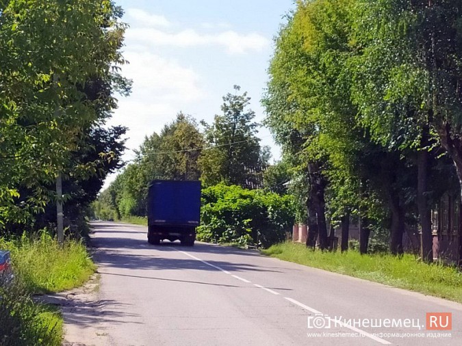В Кинешме живая изгородь «захватила» автомобильную дорогу фото 5