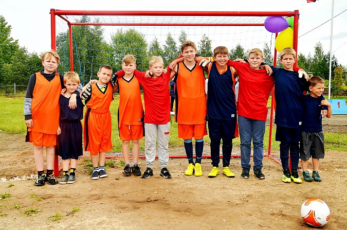 В селе Заволжского района открыли спортивную площадку с тренажерами фото 3