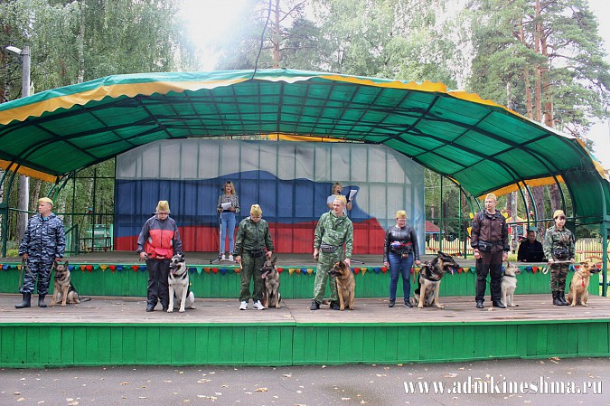 Впервые в Кинешме прошли показательные выступления дрессированных служебных собак фото 6