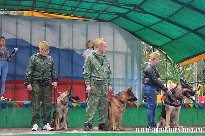 Впервые в Кинешме прошли показательные выступления дрессированных служебных собак фото 2