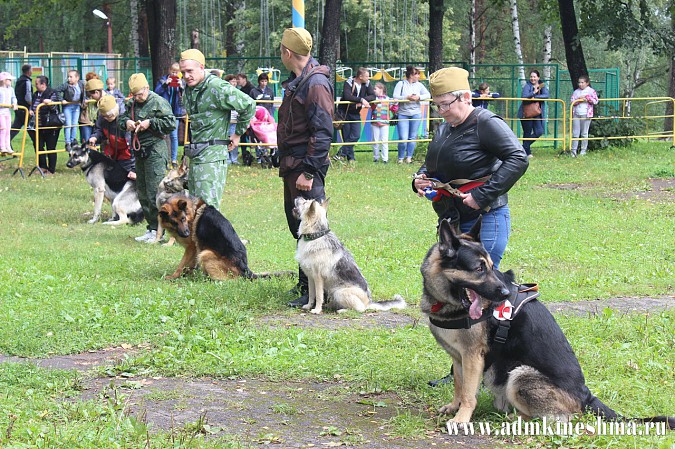 Впервые в Кинешме прошли показательные выступления дрессированных служебных собак фото 8