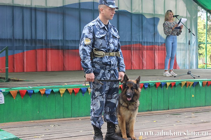 Впервые в Кинешме прошли показательные выступления дрессированных служебных собак фото 10
