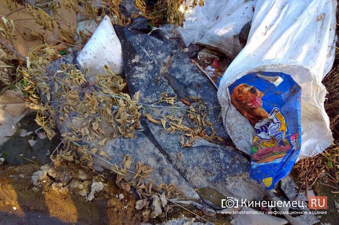 В Кинешме мешки для трупов набили мусором и выбросили на улицу фото 7