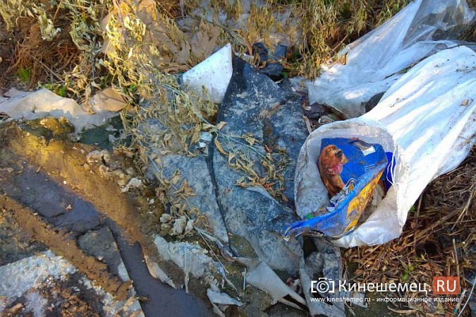 В Кинешме мешки для трупов набили мусором и выбросили на улицу фото 4