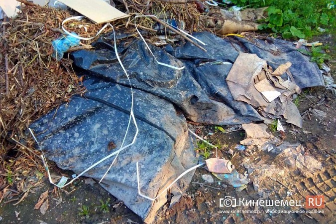 В Кинешме мешки для трупов набили мусором и выбросили на улицу фото 6