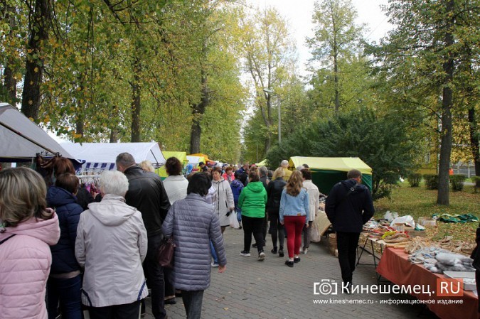 Праздник Волжского бульвара в Кинешме посетили более 5000 человек фото 31