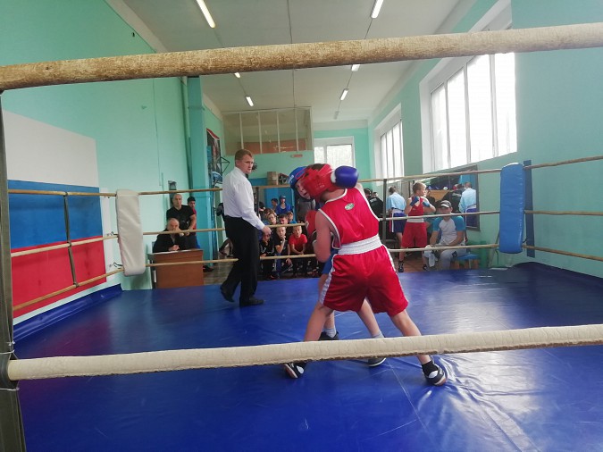 В Кинешме прошел боксерский турнир, посвященный началу учебного года фото 4
