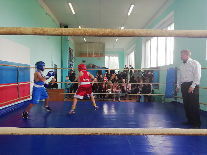 В Кинешме прошел боксерский турнир, посвященный началу учебного года фото 2