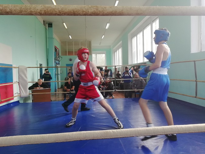 В Кинешме прошел боксерский турнир, посвященный началу учебного года фото 6
