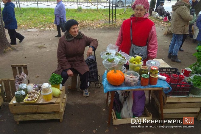 В Кинешме разгоняют микрорынок, где бабушки зарабатывали крохи к пенсии фото 3