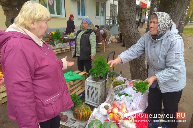 В Кинешме разгоняют микрорынок, где бабушки зарабатывали крохи к пенсии фото 11