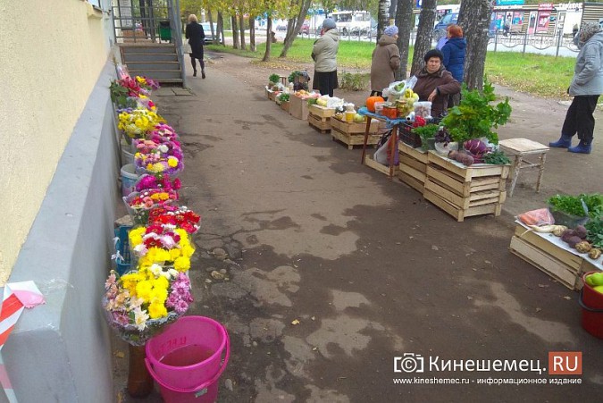 В Кинешме разгоняют микрорынок, где бабушки зарабатывали крохи к пенсии фото 10