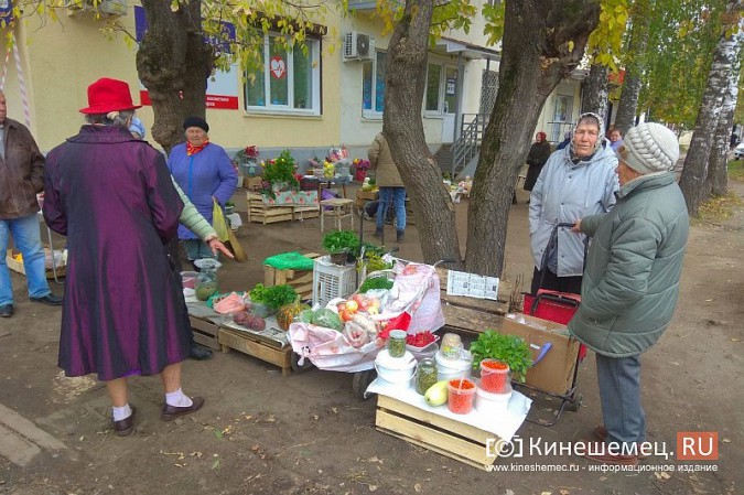 В Кинешме разгоняют микрорынок, где бабушки зарабатывали крохи к пенсии фото 8