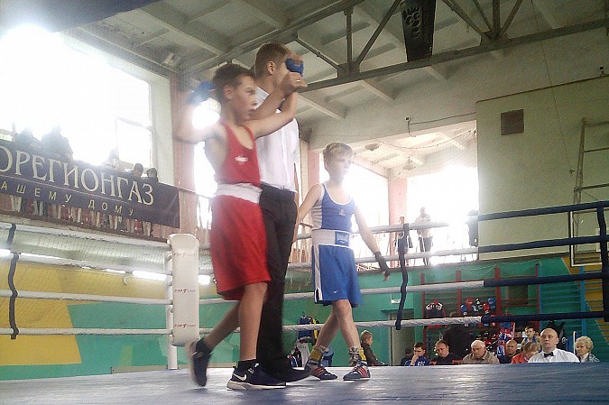 Кинешемские боксеры выступили на южском ринге фото 2
