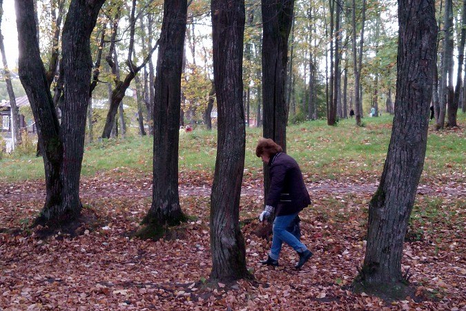 Наволокчане привели в порядок городской парк фото 3