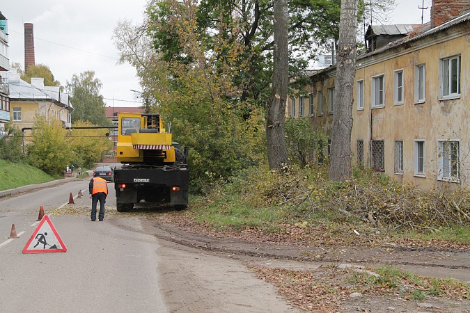 Председатель Кинешемской думы проконтролировал спил тополей на «2-й фабрике» фото 4