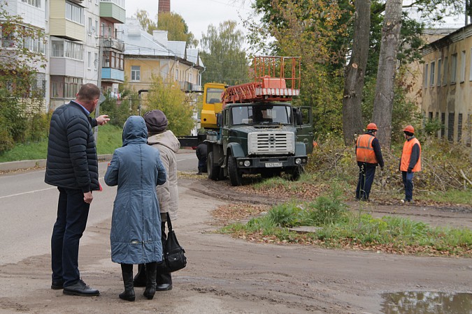 Председатель Кинешемской думы проконтролировал спил тополей на «2-й фабрике» фото 3