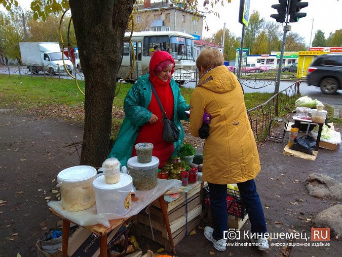Пенсионеры Кинешмы начали сбор подписей за сохранение микрорынка на «Чкаловском» фото 7