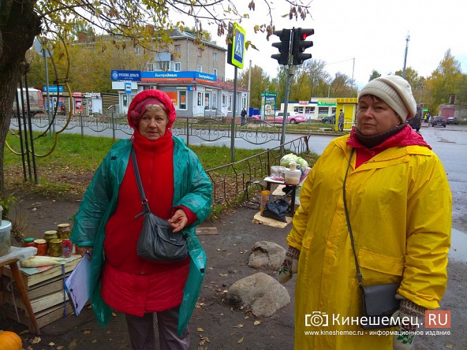 Пенсионеры Кинешмы начали сбор подписей за сохранение микрорынка на «Чкаловском» фото 6