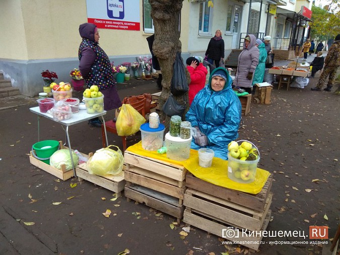 Пенсионеры Кинешмы начали сбор подписей за сохранение микрорынка на «Чкаловском» фото 5
