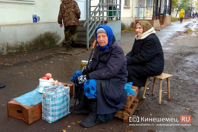 В Кинешме пенсионеры вышли на пикет за сохранение микрорынка на «Чкаловском» фото 6